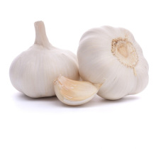 normal white &pure white garlic